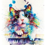 网红纹身手稿,潮流图案背后的艺术魅力